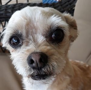 Meet your Posher, Wendy